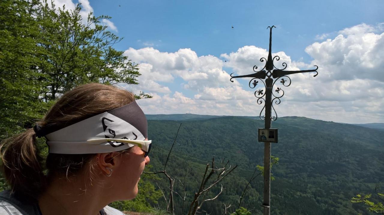 Hotel Zur Waldbahn Цвизел Екстериор снимка